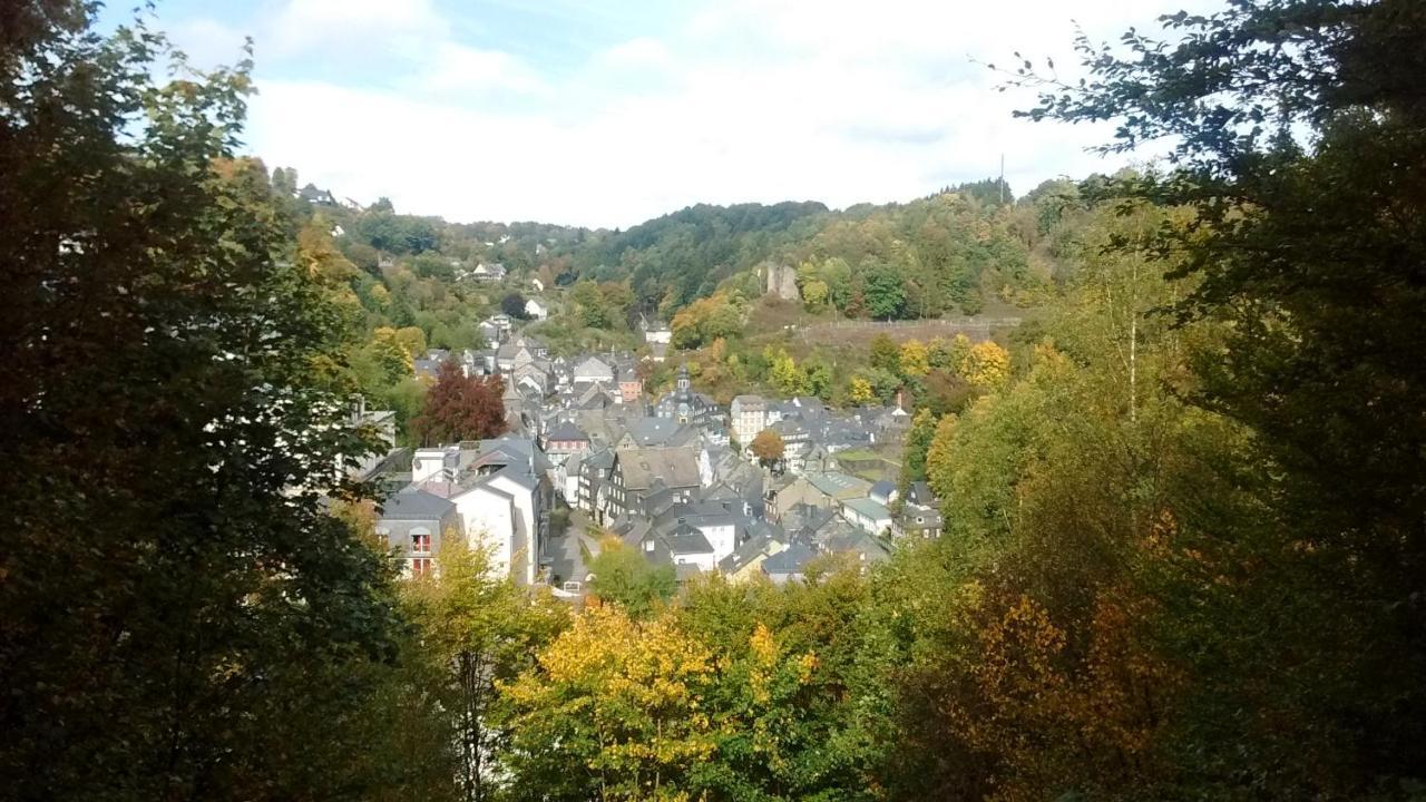 Hallerblick 몬샤우 외부 사진
