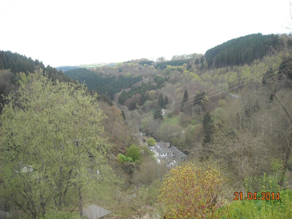 Hallerblick 몬샤우 외부 사진